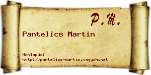 Pantelics Martin névjegykártya